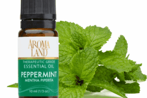 Essential Oil Excellence At An Affordable Price